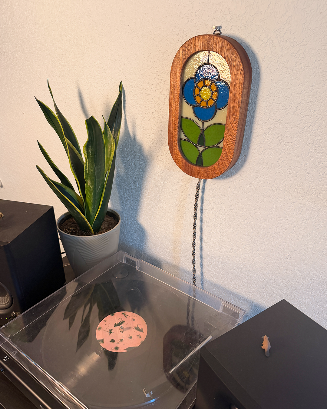 Frisco Flower - Pill Light Box