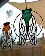 Cicada