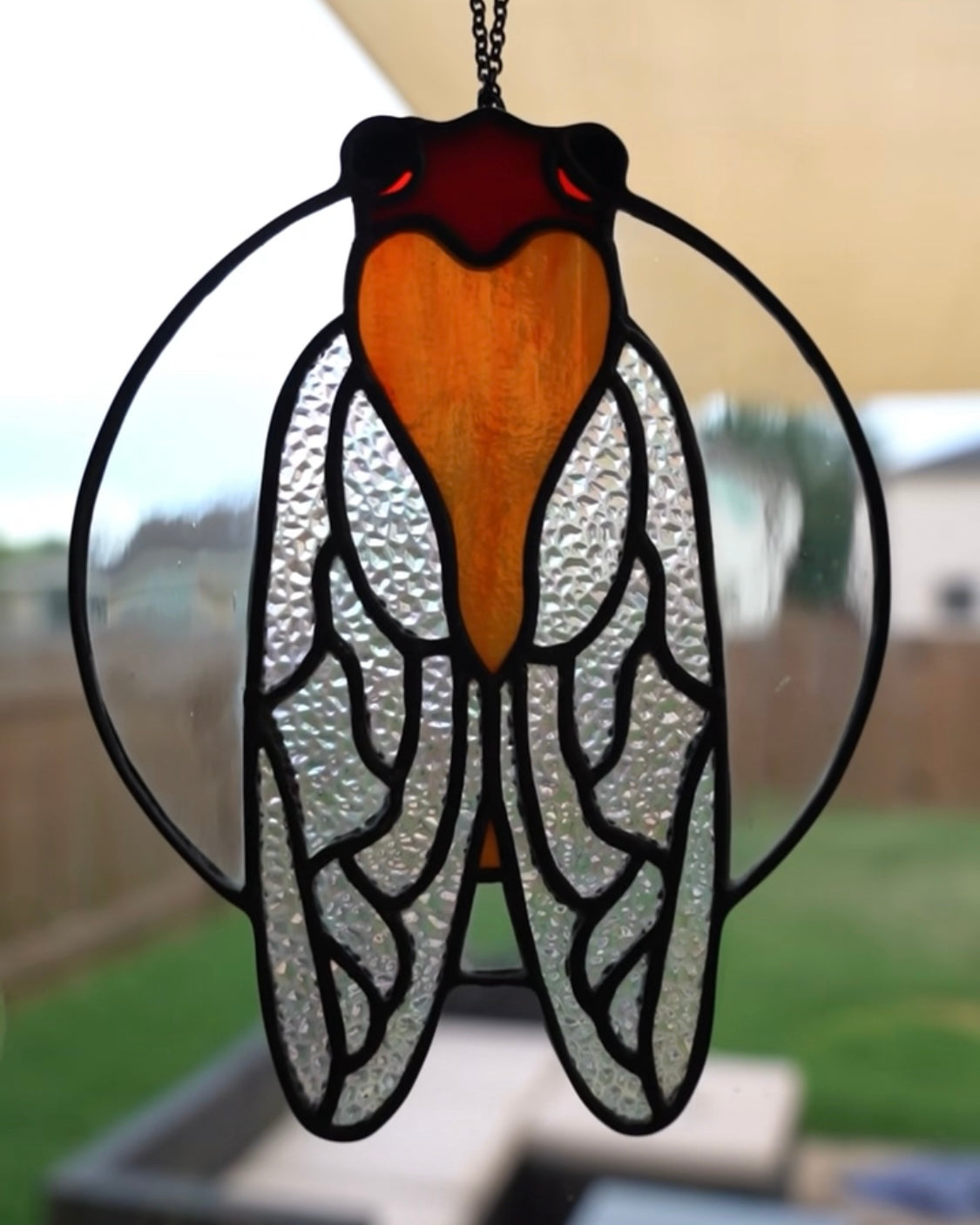 Cicada